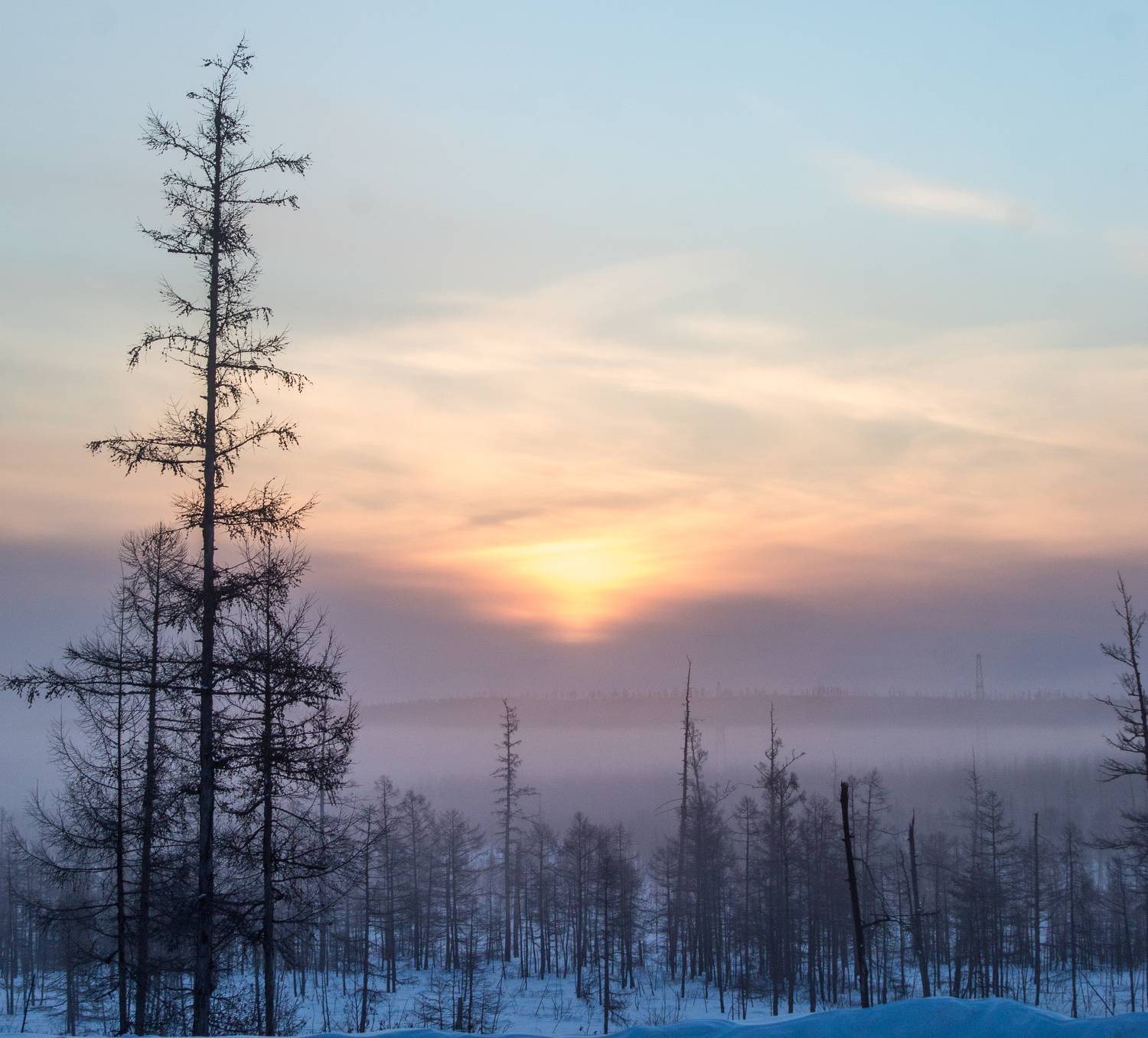 Photo #9216774
