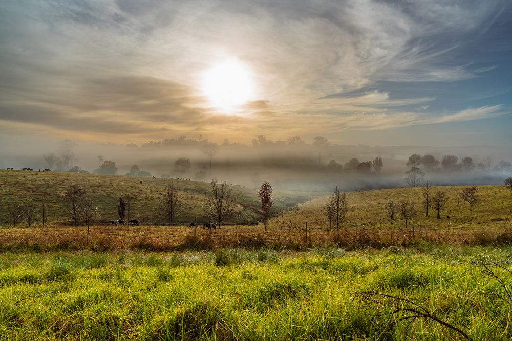 Photograph by Mahmudul Ahsan