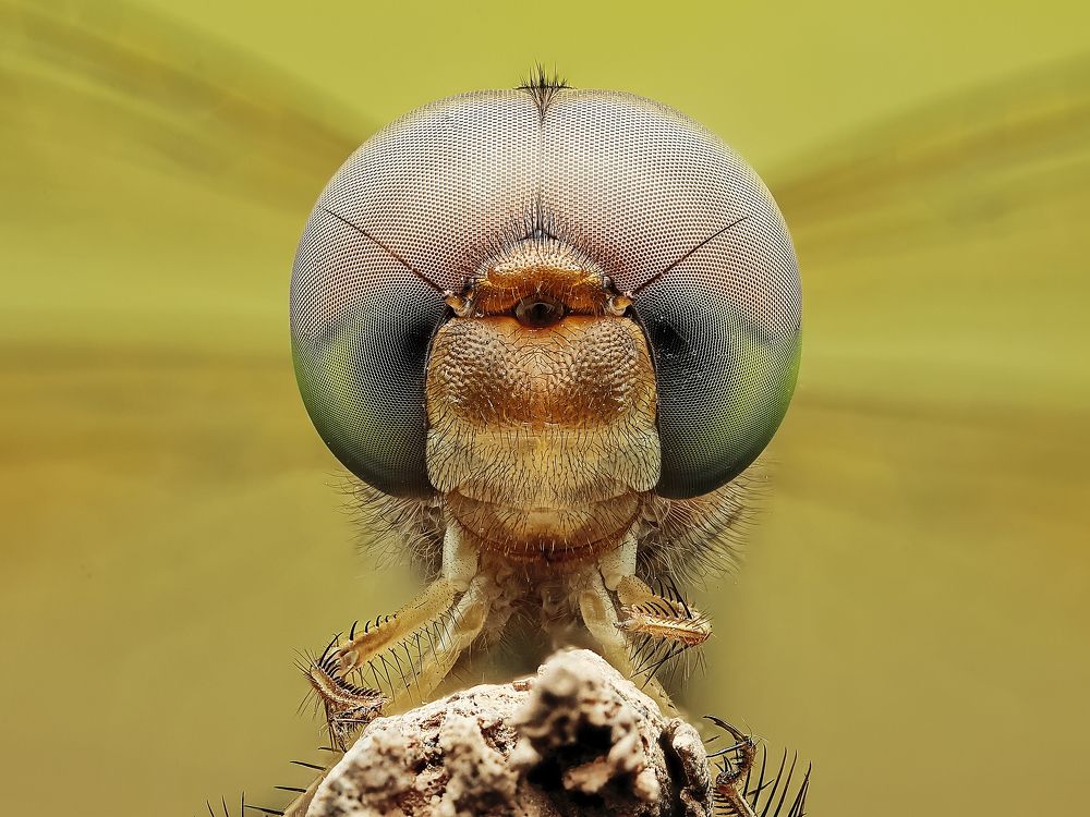 Photograph by Jacob Ng