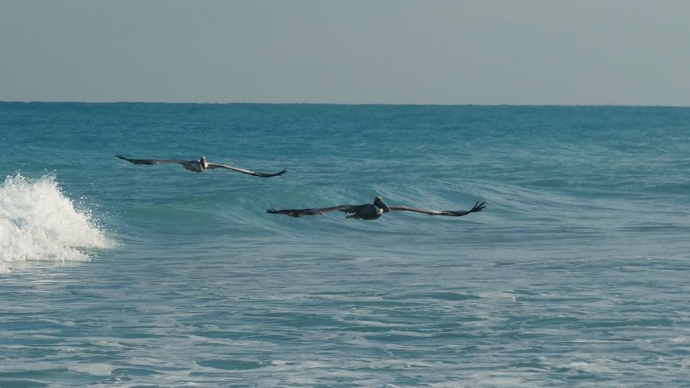 Photograph by Александр Линник