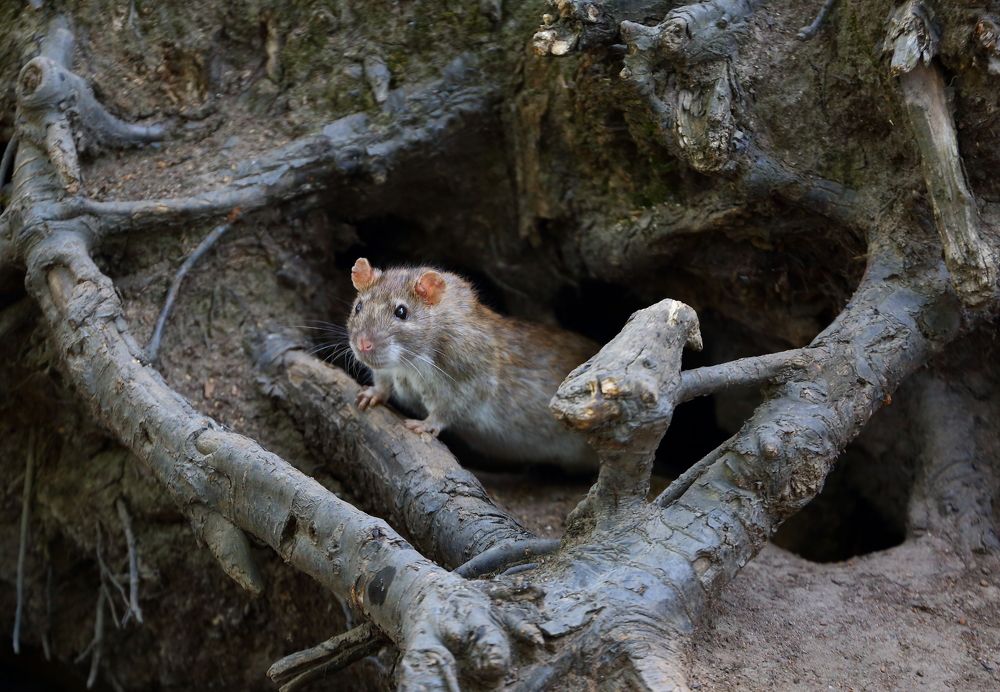 Photograph by Станислав Вершинин