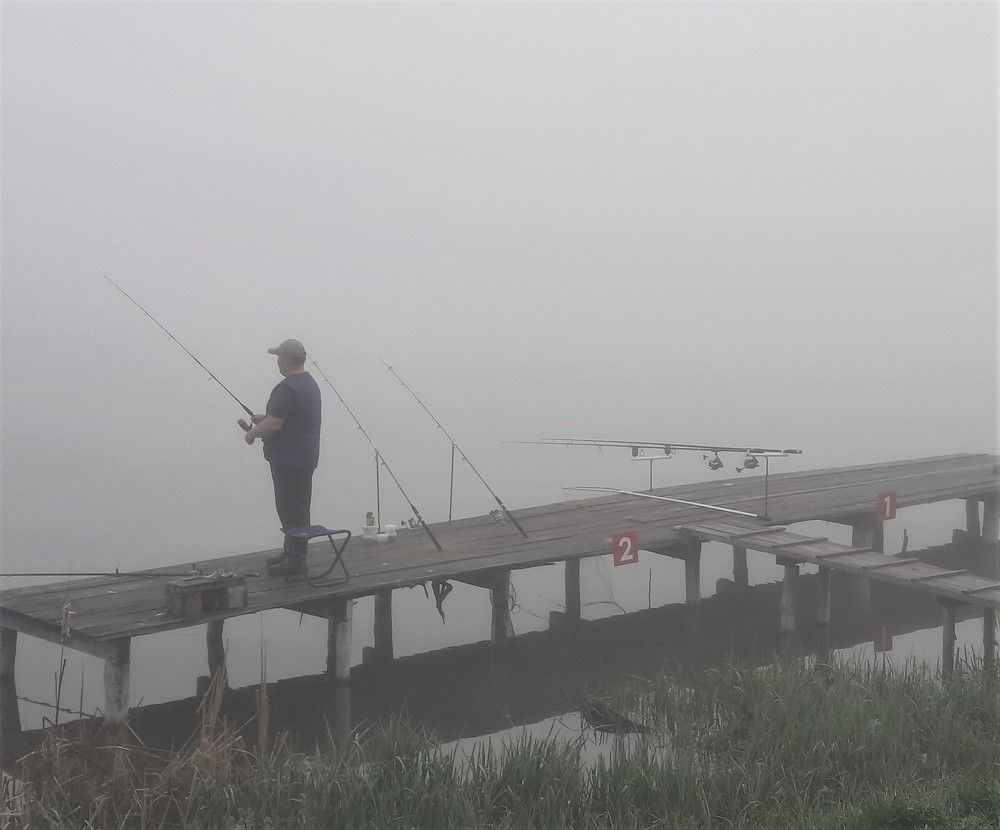 Фотография автора Елена Пикатова