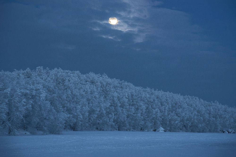 Photograph by Ольга Яскунова