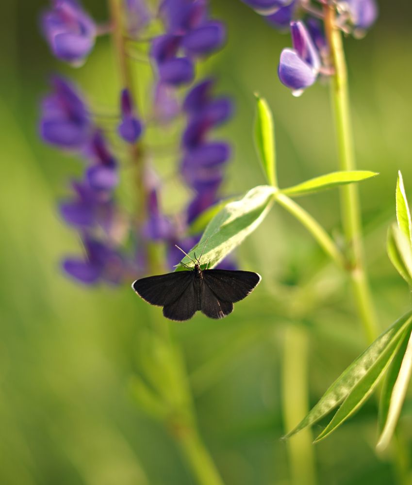 Photograph by Зыкова Юлия