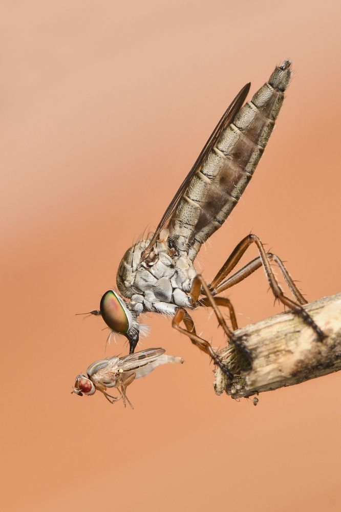 Photograph by ARUNAVA DEY