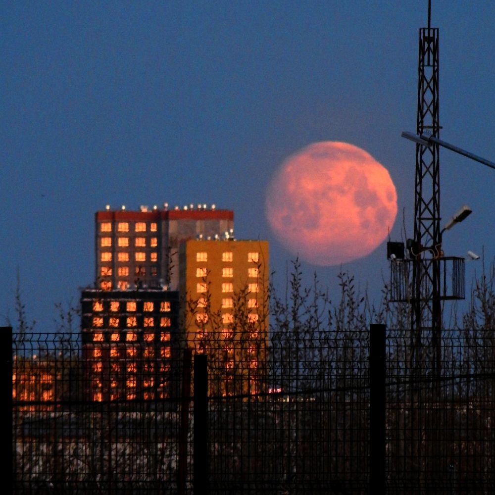 Photograph by Александр Козлов