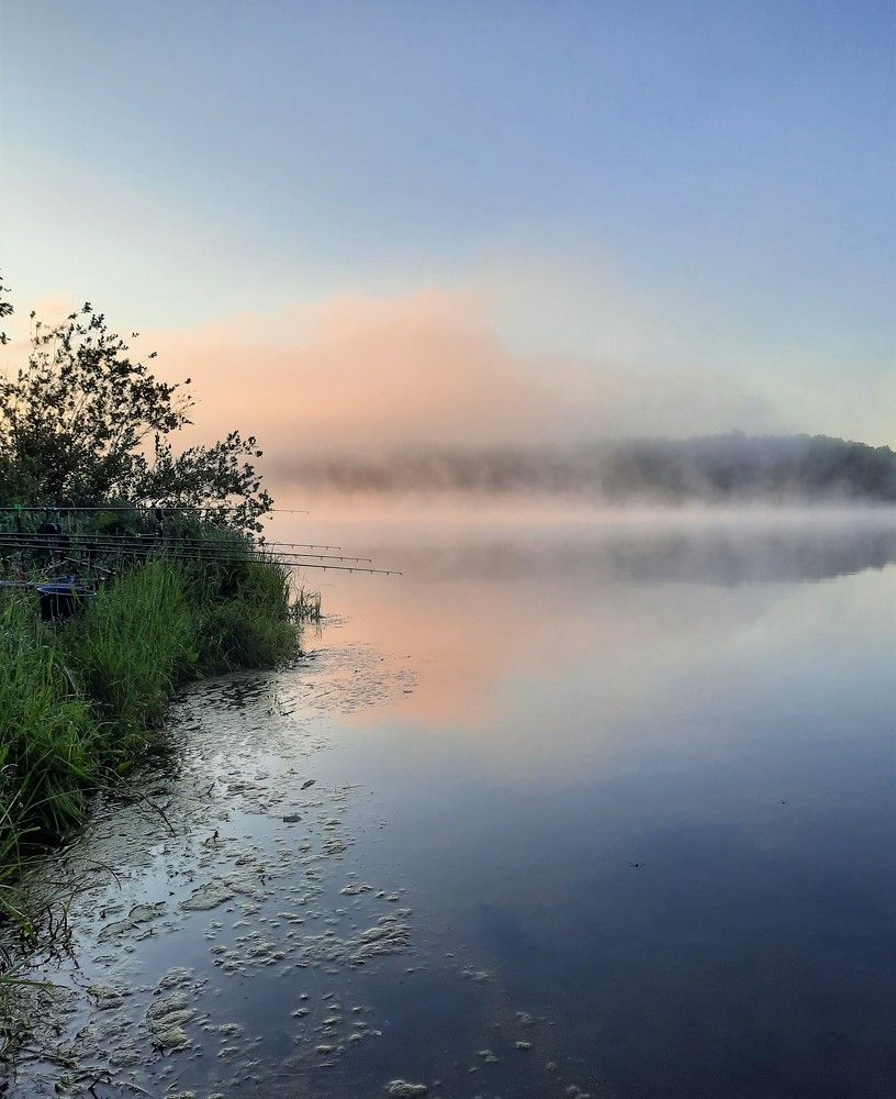 Фотография автора Елена Пикатова