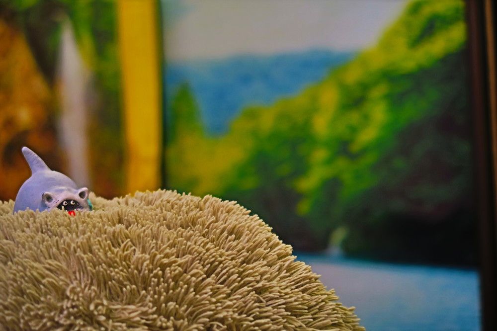 Photograph by Орл Про