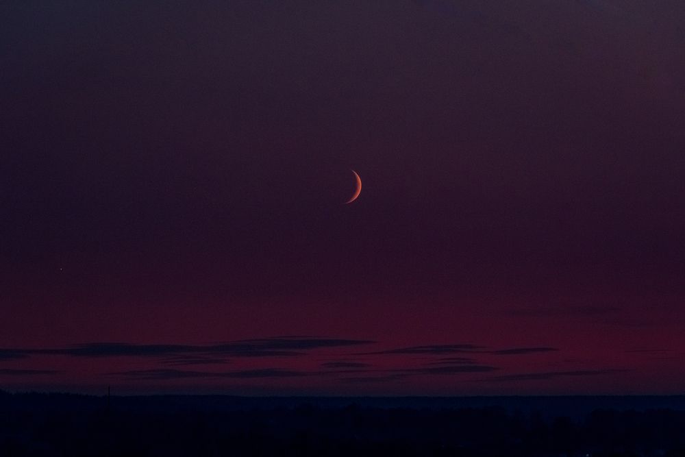 Photograph by Сергей Пашнов