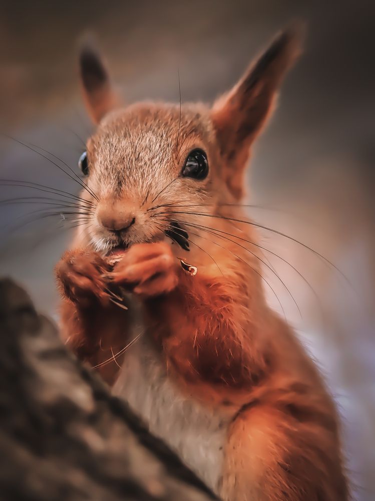 Photograph by Denis Bocharov