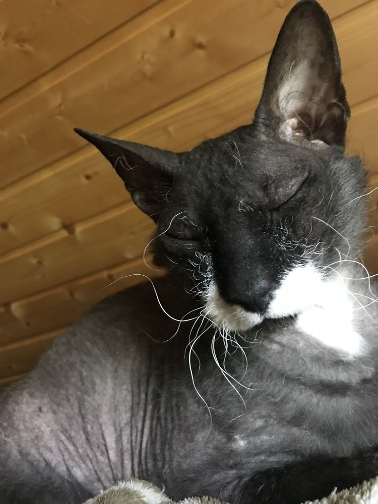 Photograph by Надежда