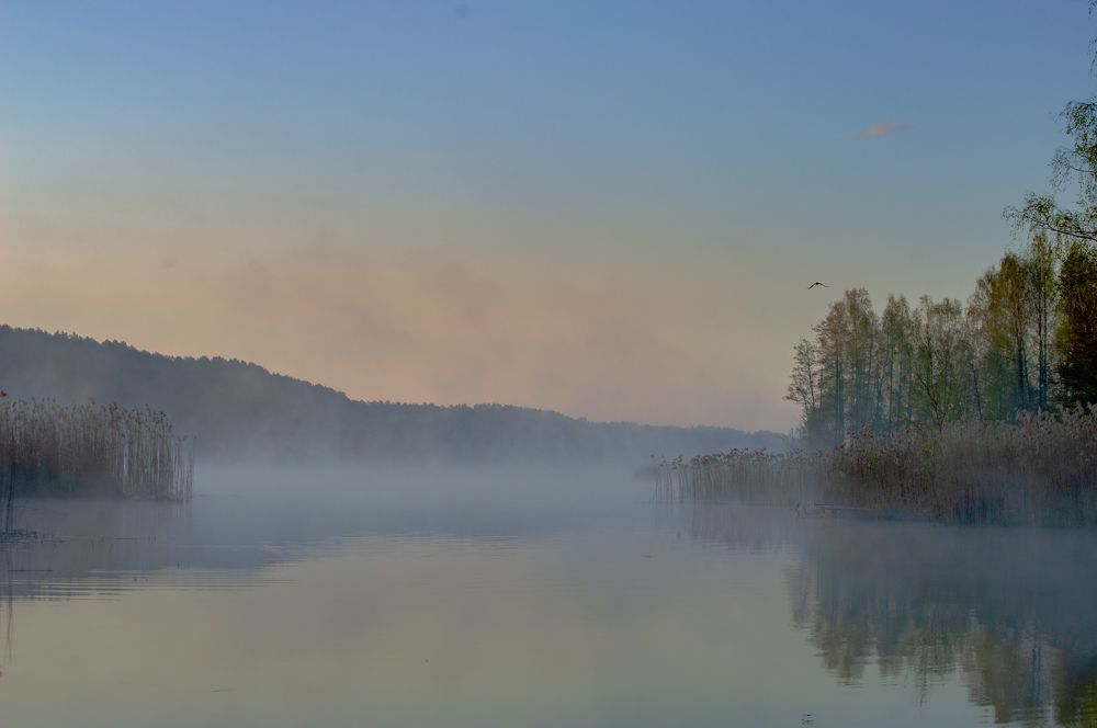 Photograph by Елена Кошелева