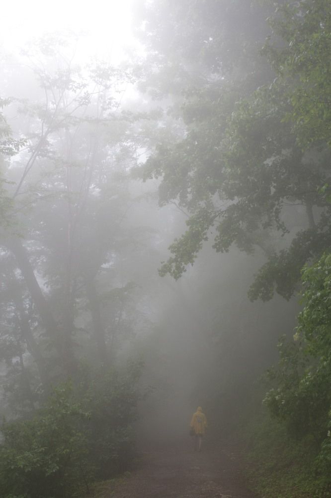 Photograph by Елена Глуховкина