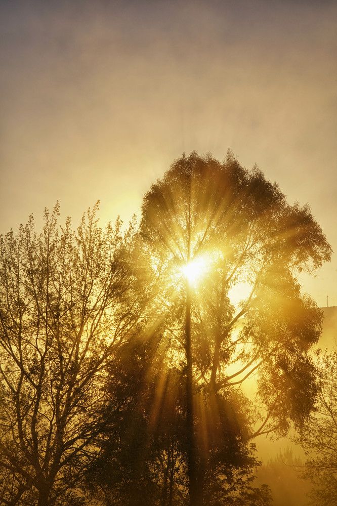 Photograph by Mário C.