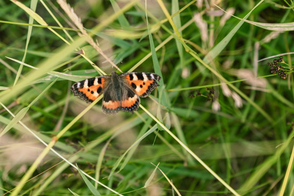 Photograph by Екатерина Климовцева