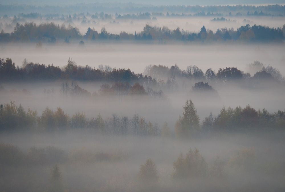 Прохладные волны.
