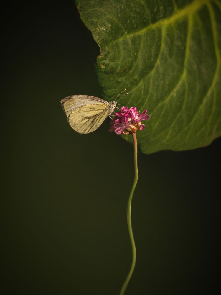 Photograph by Алексей Горин