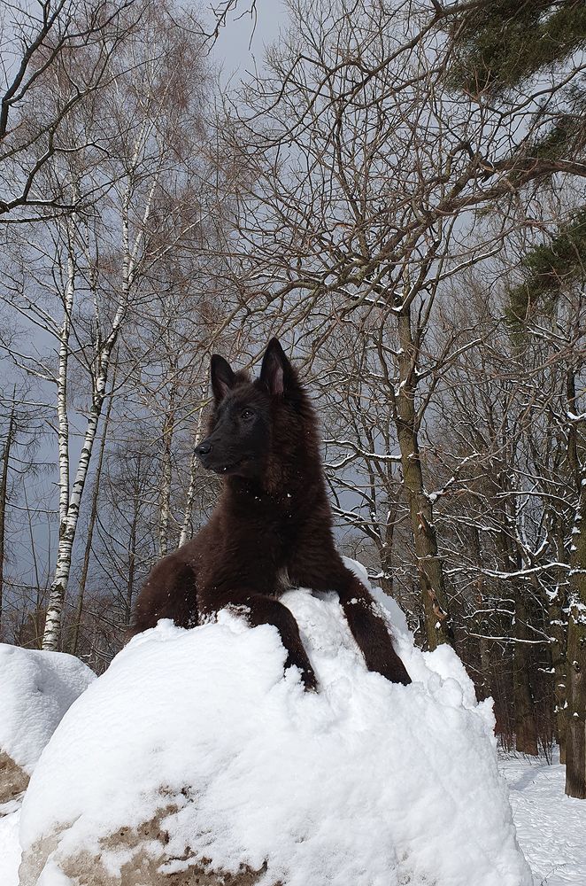 Фотография автора Надежда Лисицына