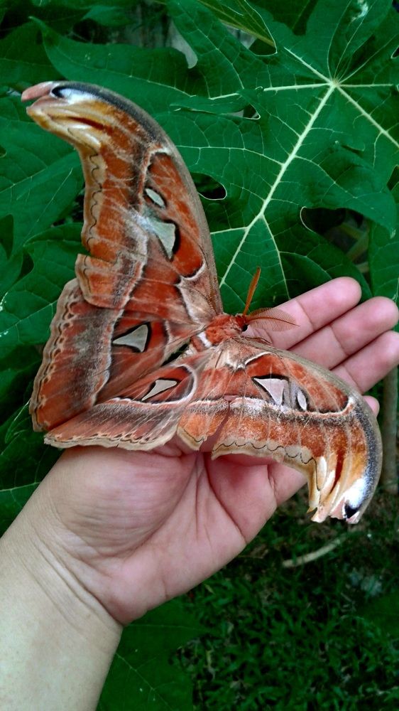 Photograph by FELOMINA ENDEREZ