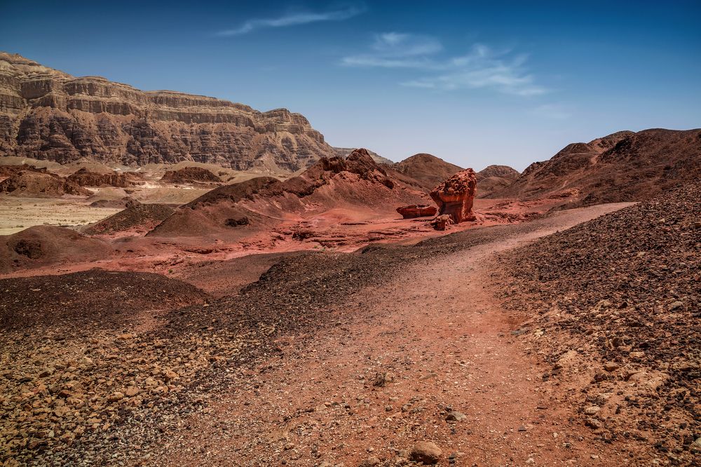 Photograph by Марина Ческис