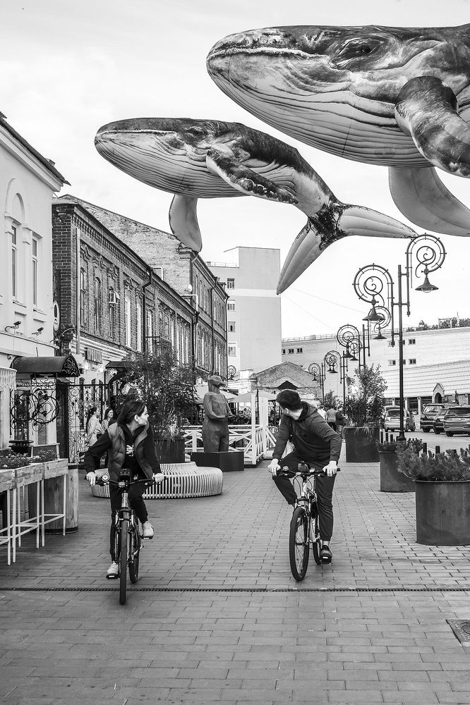 Photograph by Владислав Никишин