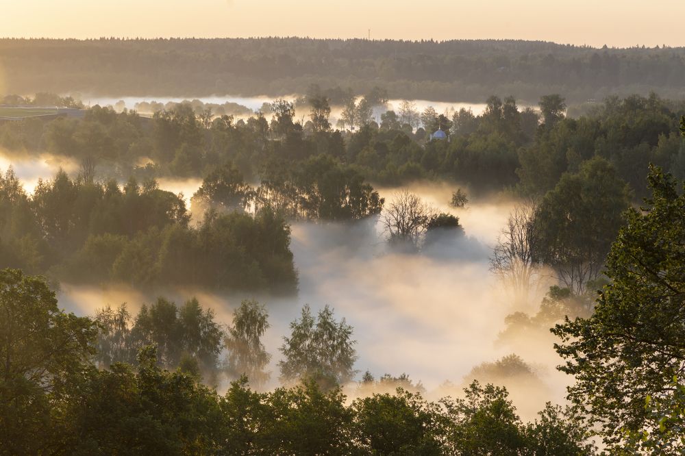 Photograph by Анастасия Малахова