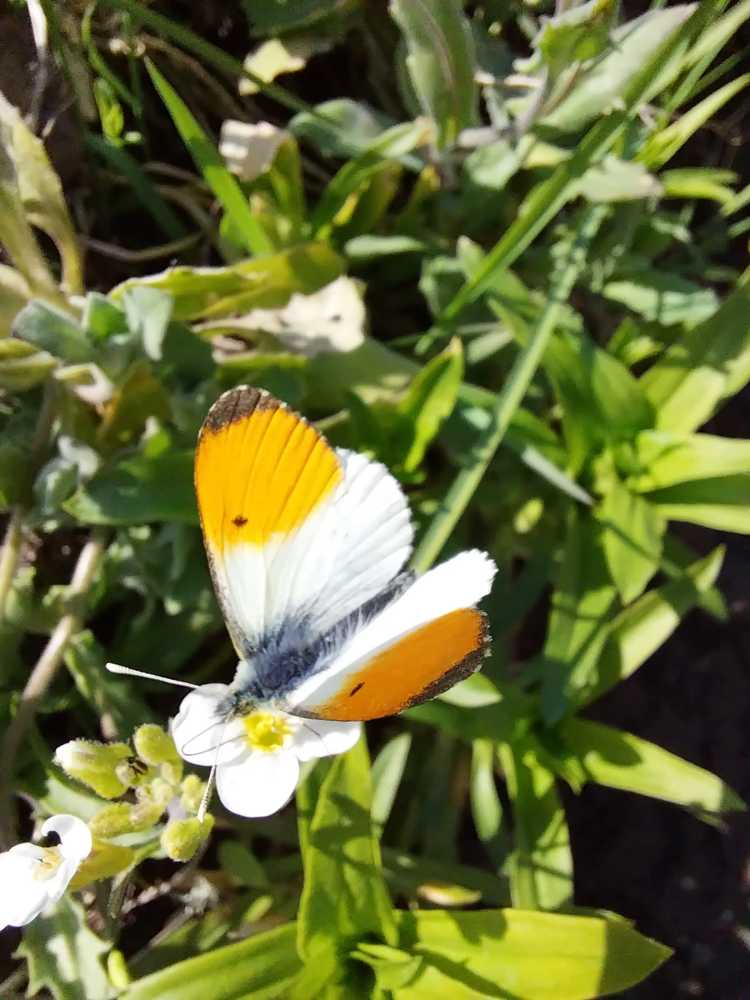 Photograph by Светлана Цапина