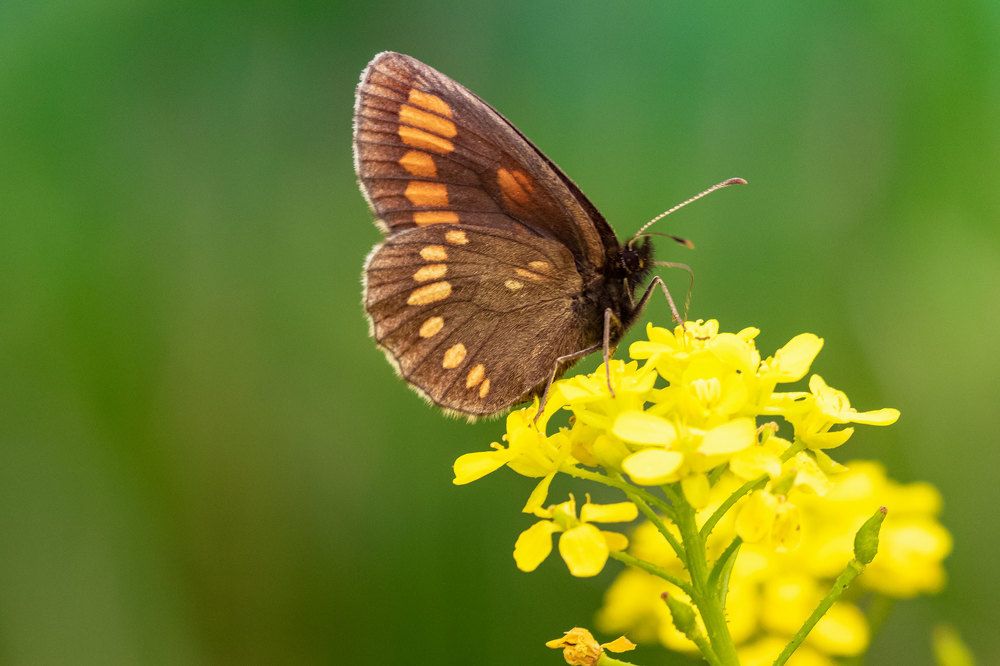 Photograph by Евгений Голубев