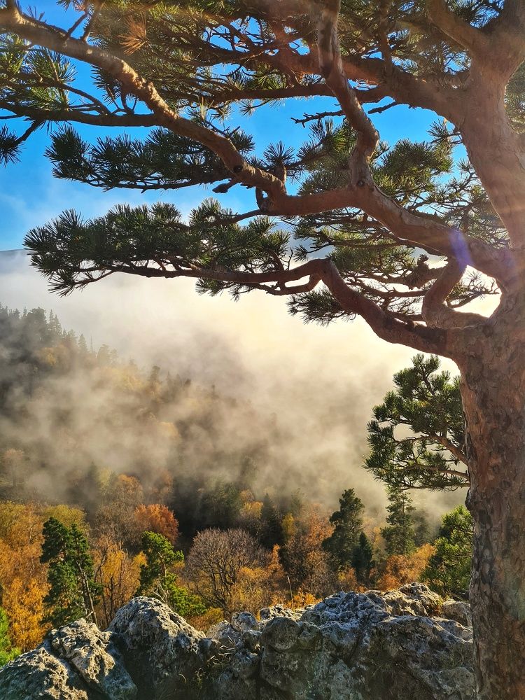 Photograph by Инна Майорова