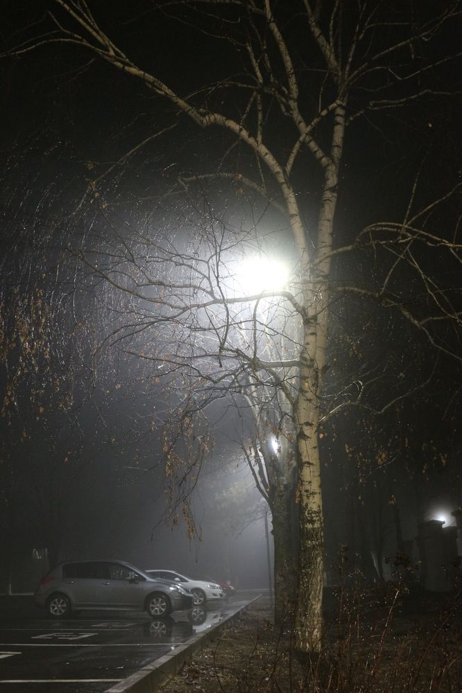 Photograph by Инна Майорова