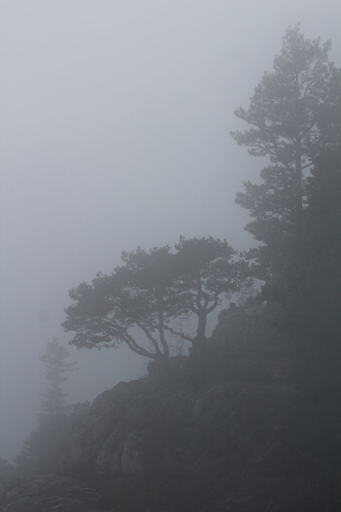 Photograph by Инна Майорова