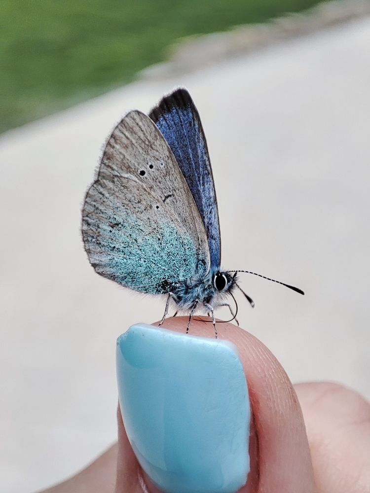 Photograph by Кристина Петанина