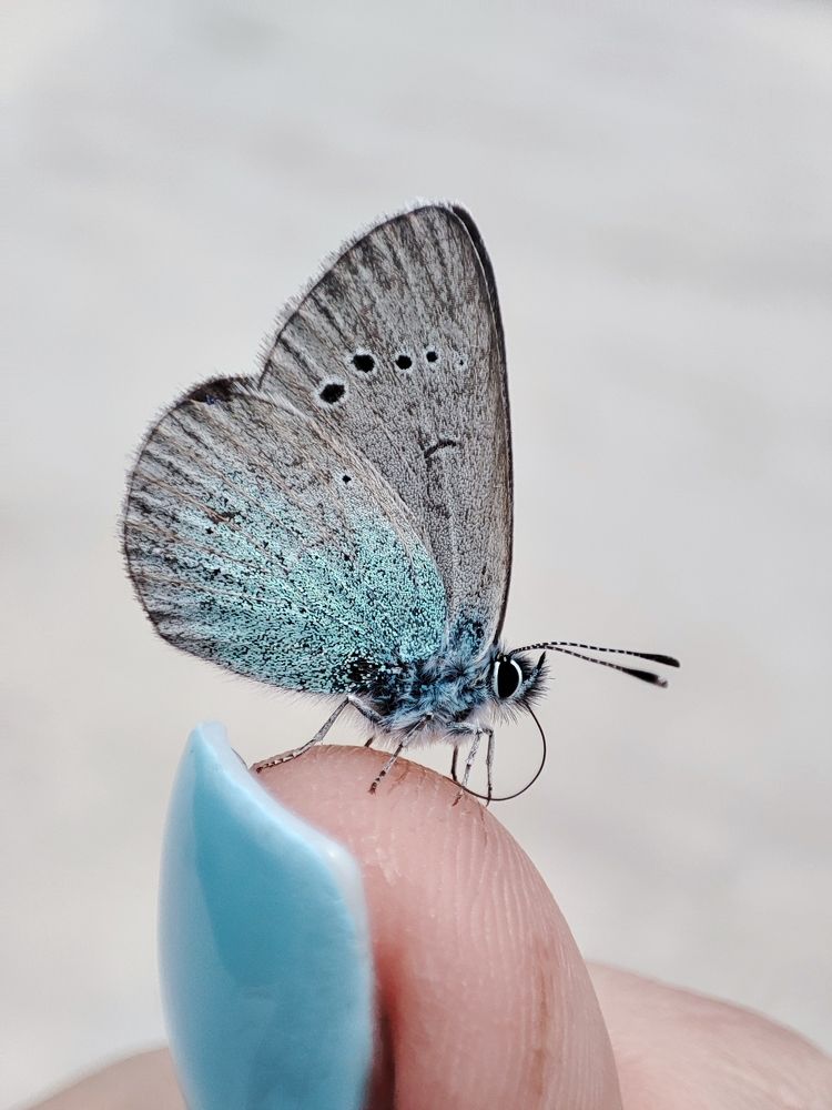 Photograph by Кристина Петанина