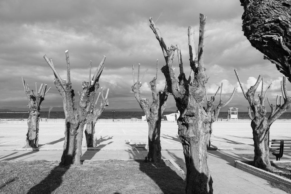 Фотография автора DIMITRIS MPAZIOTOPOULOS