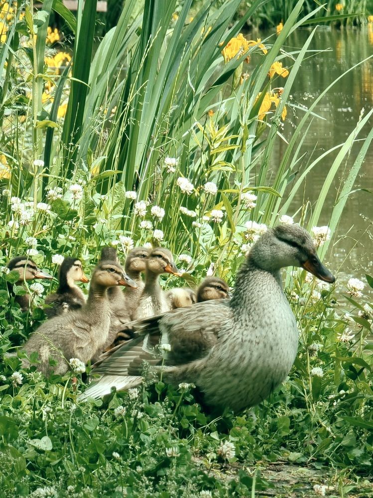 Photograph by Екатерина Воротникова
