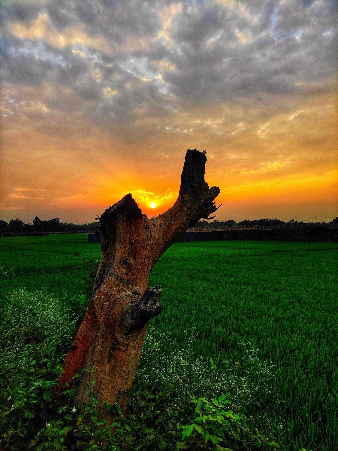Beautiful Bangladesh