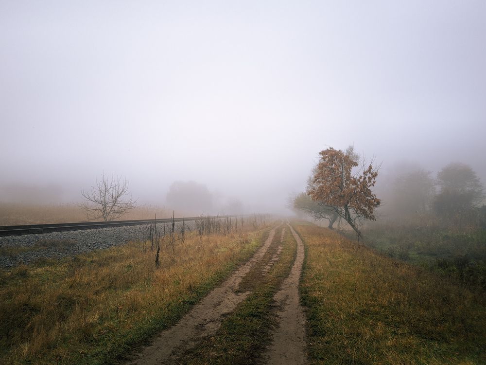 Photograph by Sergey Kolos