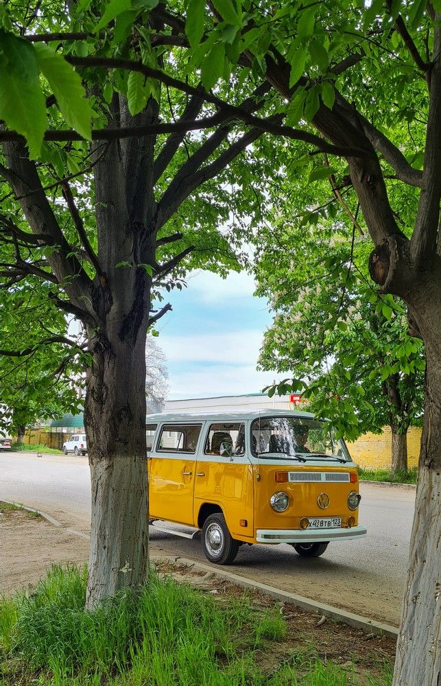 Photograph by Инна Майорова