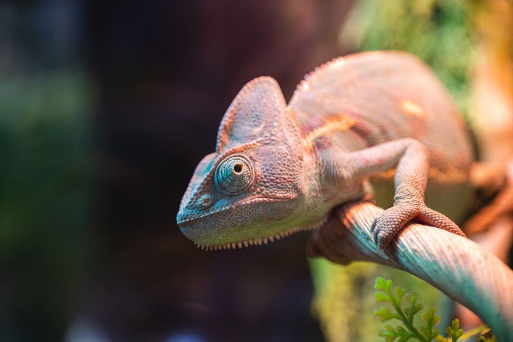 Photograph by Антон Бойков