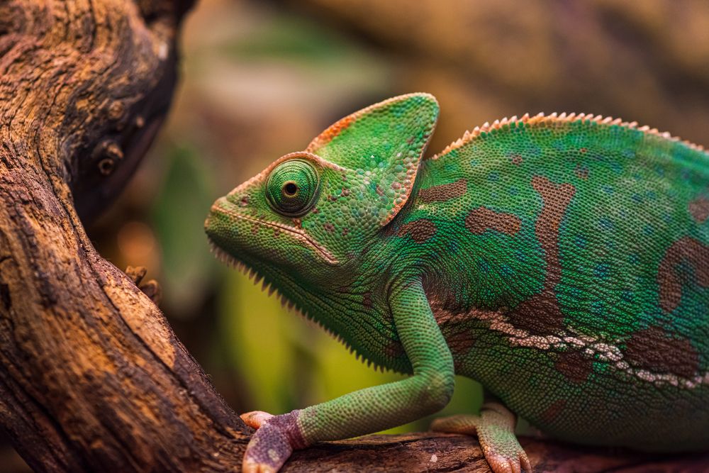 Photograph by Антон Бойков