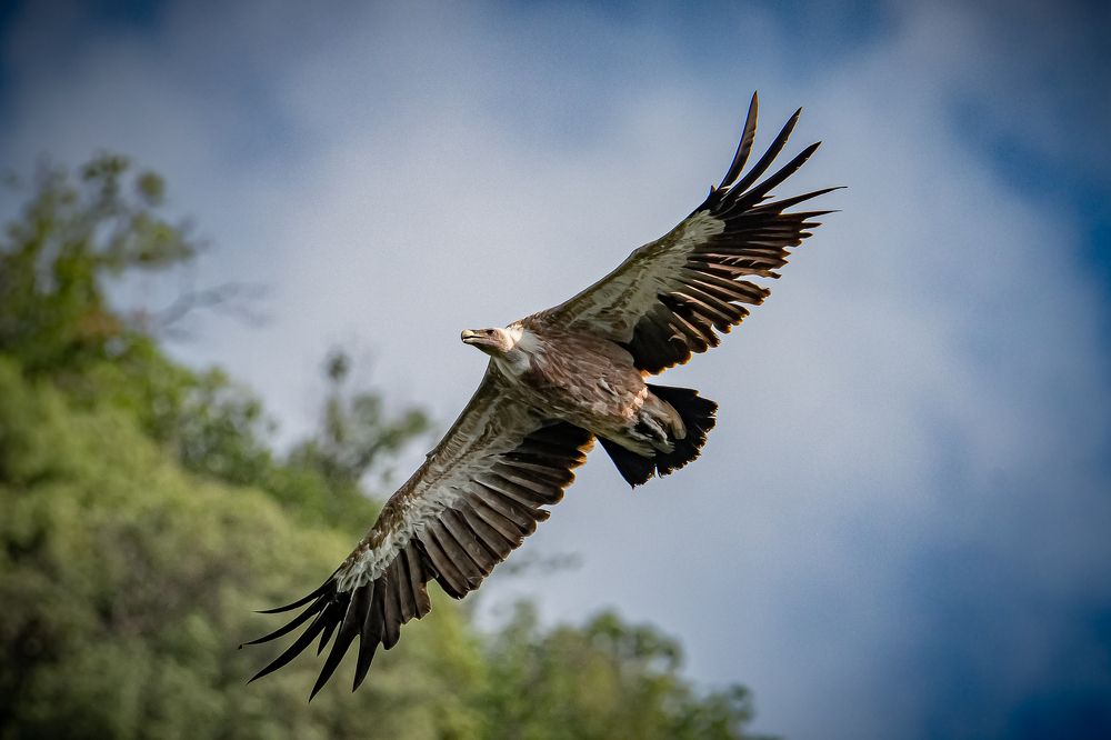 Photograph by Andrea Barlotti