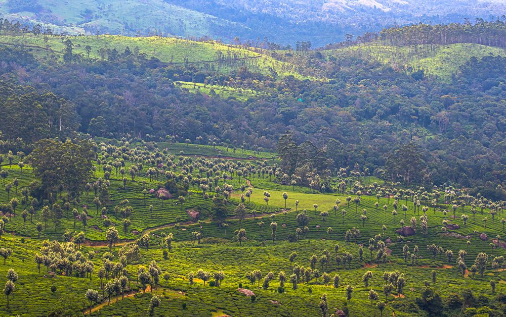 Photograph by Susobhan Biswas