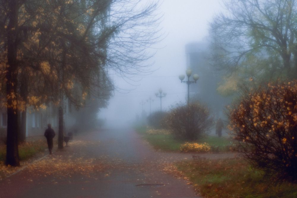 Photograph by Владимир Гаманович