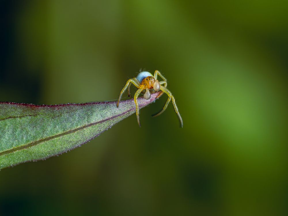 Photograph by Olga Link