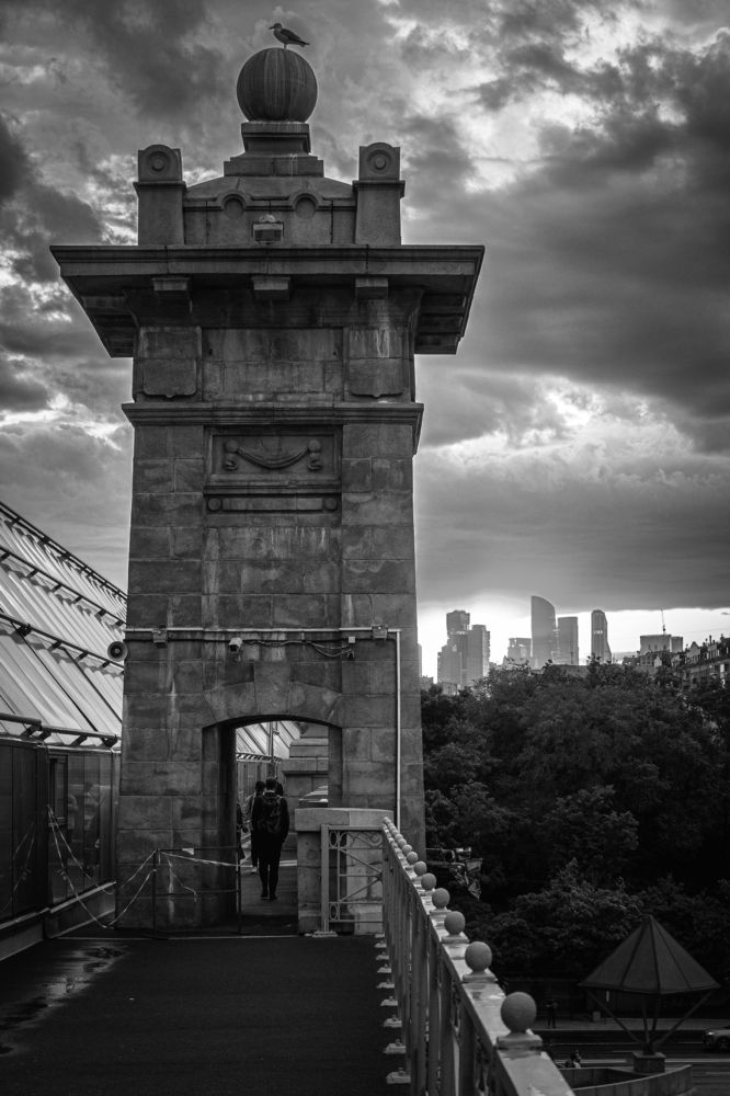 Photograph by Roman Adler