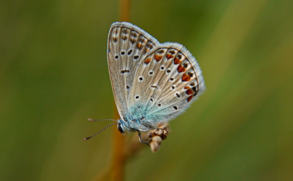 Фотография автора Сергей Кульков