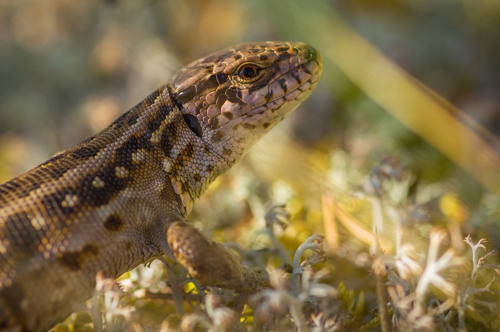 Photograph by Марина Мурашова
