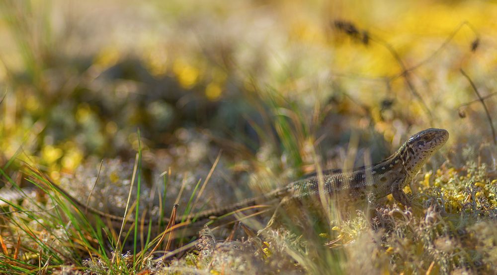 Photograph by Марина Мурашова