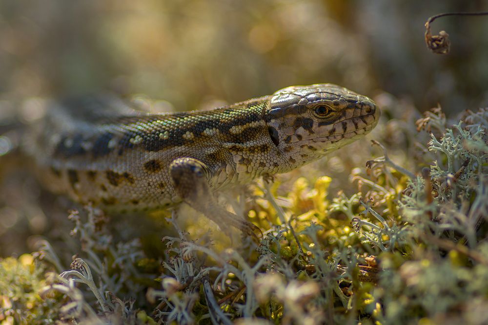 Photograph by Марина Мурашова