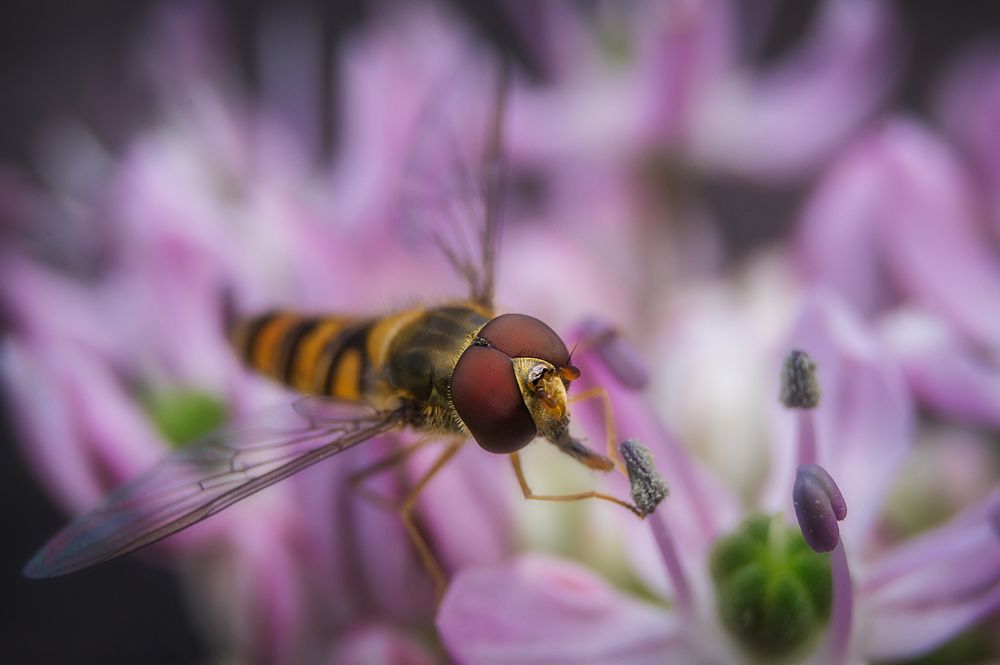 Photograph by Черкасов Сергей